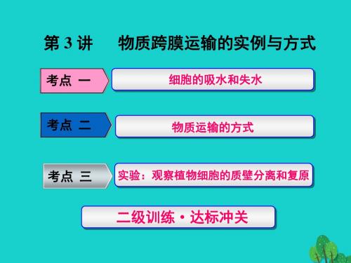 2017版高考生物一轮复习 第二单元 细胞的结构与物质的输入和输出 第3讲 物质跨膜运输的实例与方式课件