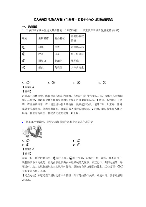 【人教版】生物八年级《生物圈中的其他生物》复习知识要点