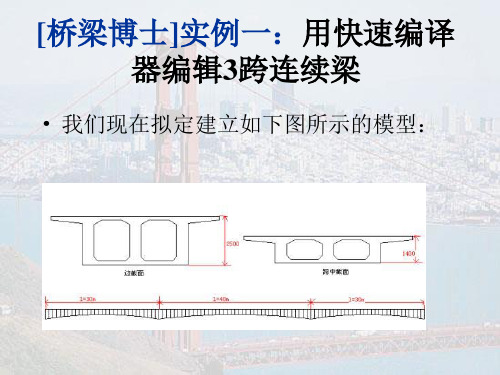 桥梁博士实例