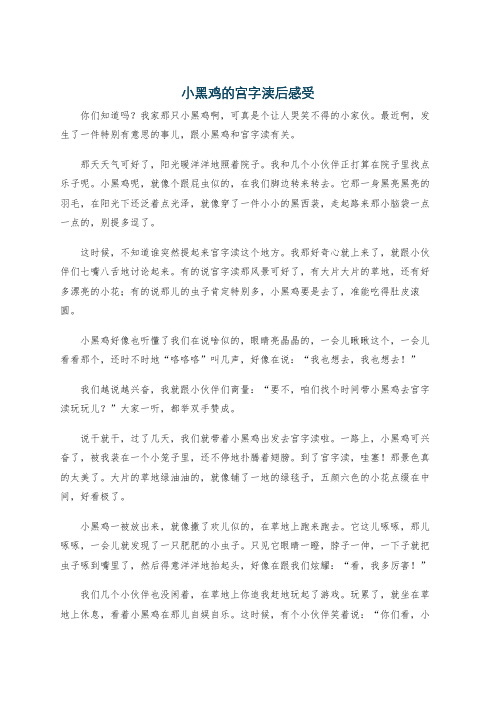 小黑鸡的宫字渎后感受