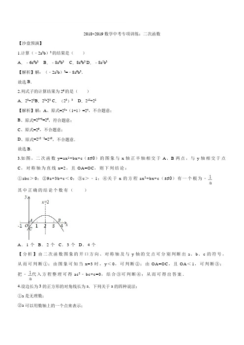 2019学年中考数学《二次函数》专项训练(精品解析)
