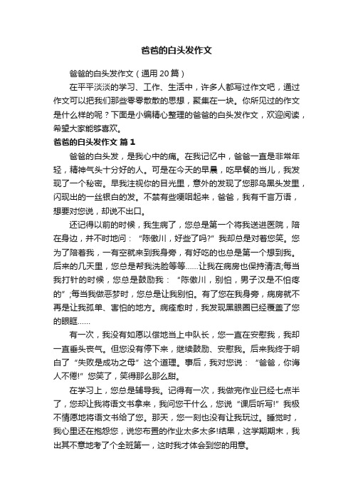 爸爸的白头发作文（通用20篇）