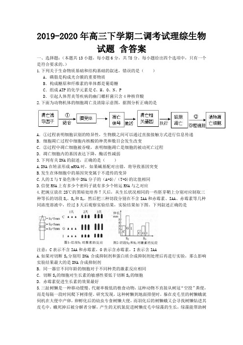 2019-2020年高三下学期二调考试理综生物试题 含答案