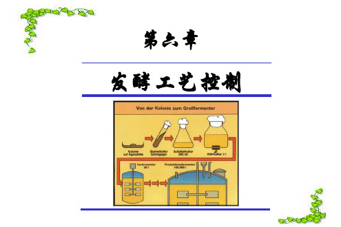 发酵工艺控制培训课件