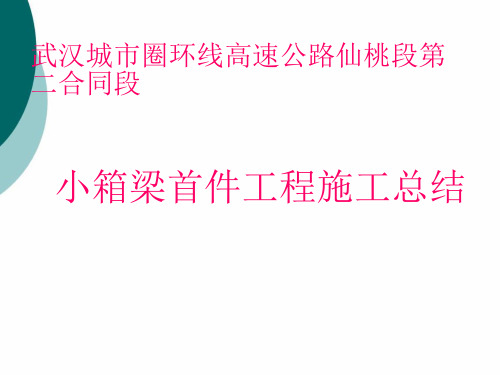 预制小箱梁首件工程施工总结PPT课件