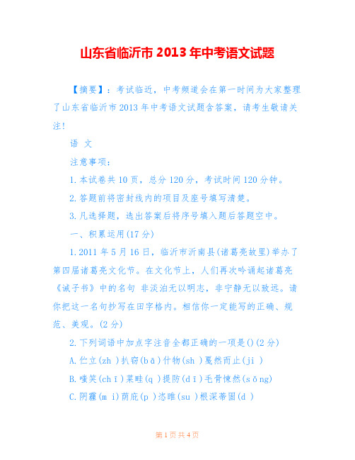 山东省临沂市2013年中考语文试题