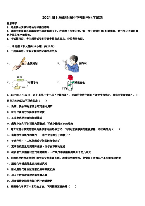 2024届上海市杨浦区中考联考化学试题含解析