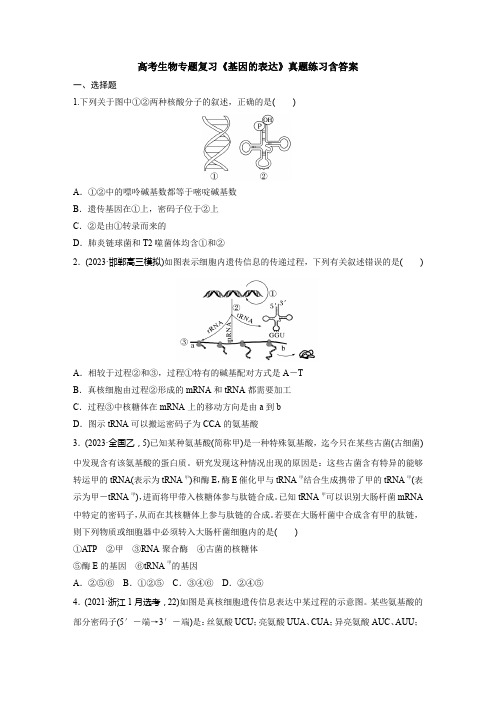 高考生物专题复习《基因的表达》真题练习含答案