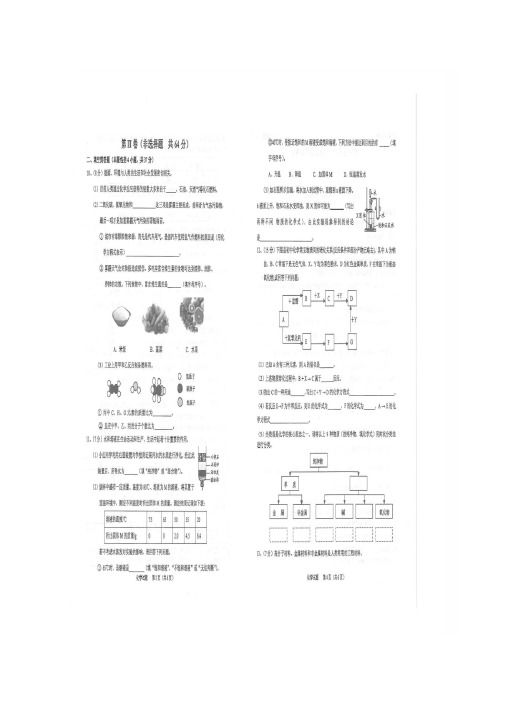 山东省胜利一中2015届九年级学业考试第一次模拟化学试题(扫描版含答案)