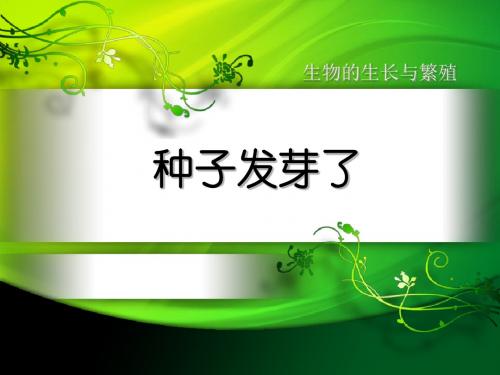 五年级科学下册PPT课件(青岛版)10.种子发芽了