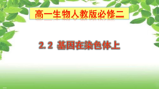 高一生物人教版必修二第二节基因在染色体上教学课件