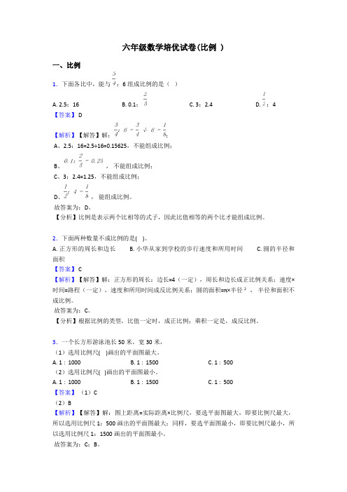 六年级数学培优试卷(比例 )