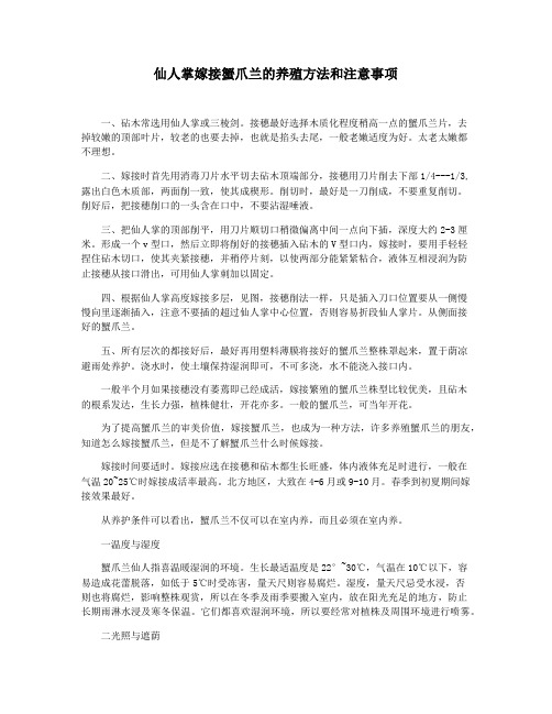 仙人掌嫁接蟹爪兰的养殖方法和注意事项