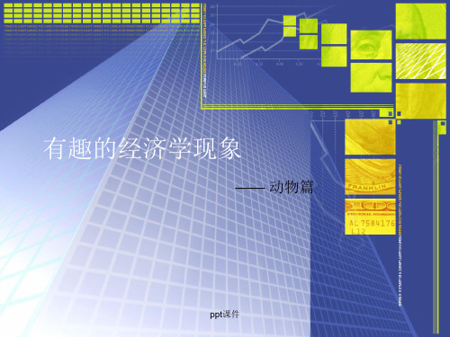 有趣的经济学现象ppt课件