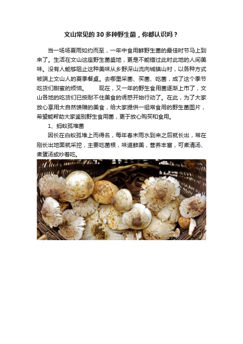 文山常见的30多种野生菌，你都认识吗？