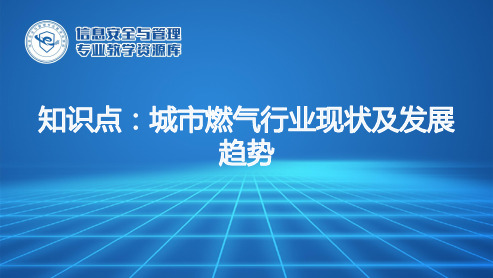 城市燃气行业现状及发展趋势.ppt