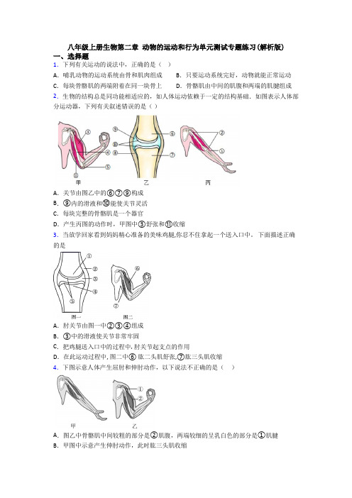 八年级上册生物第二章 动物的运动和行为单元测试专题练习(解析版)