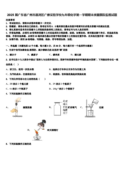 2025届广东省广州市荔湾区广雅实验学校九年级化学第一学期期末质量跟踪监视试题含解析