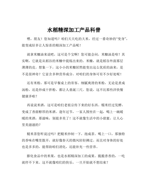 水稻精深加工产品科普