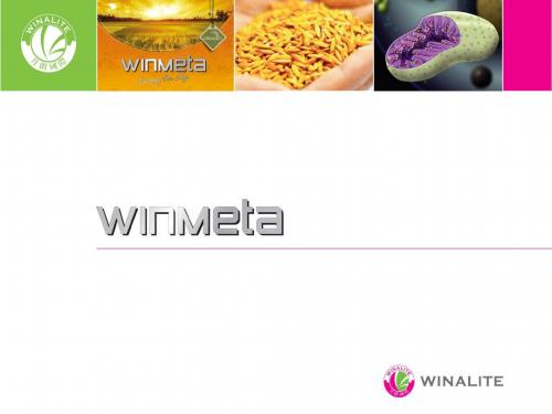 古代智慧现代科技-WINALITEGLOBAL