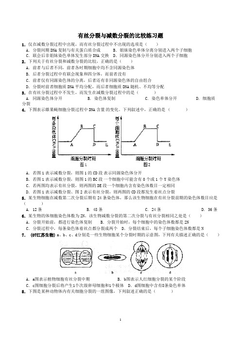 有丝分裂与减数分裂联系题