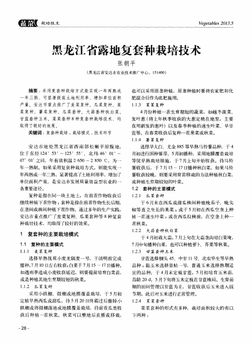 黑龙江省露地复套种栽培技术