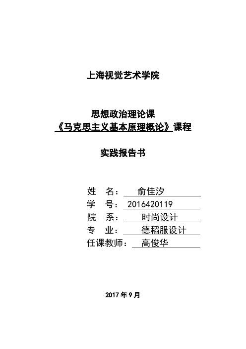 《马克思主义基本原理概论》课程实践报告