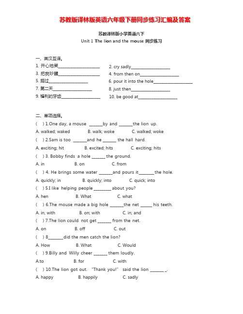 苏教译林版英语六年级下册全册同步练习汇编及答案