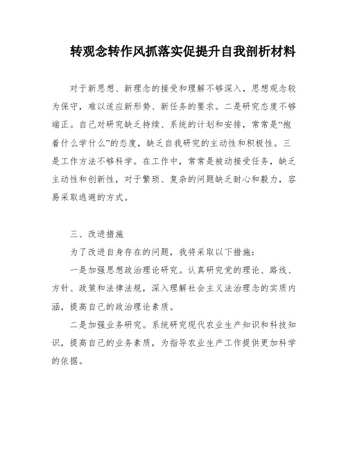 转观念转作风抓落实促提升自我剖析材料