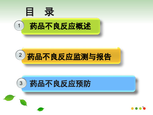药品不良反应预防.ppt