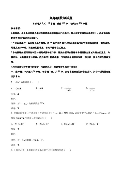 广东省汕尾市2024届九年级下学期中考二模数学试卷(含解析)