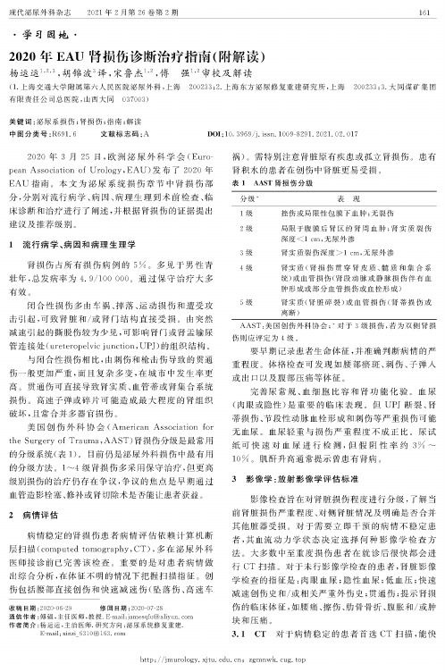 2020年EAU肾损伤诊断治疗指南(附解读)