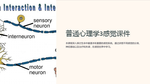 普通心理学3感觉课件