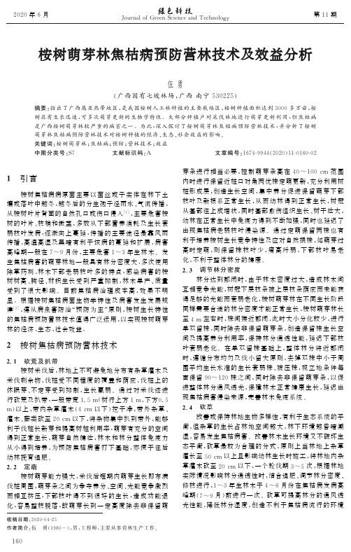 桉树萌芽林焦枯病预防营林技术及效益分析