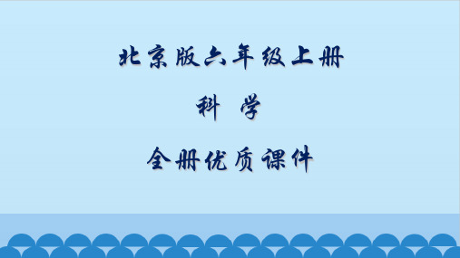 北京版六年级科学上册全册课件