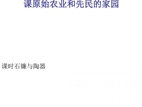 原始农业和先民的家园ppt2