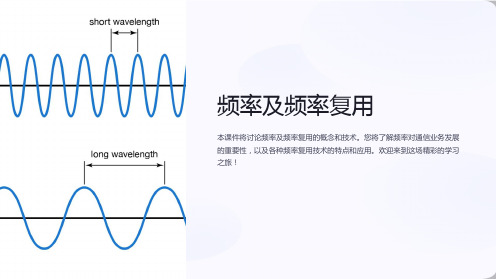 《频率及频率复用》课件