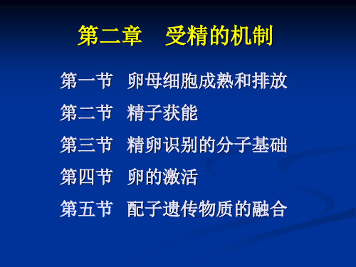 第二章 受精的机制