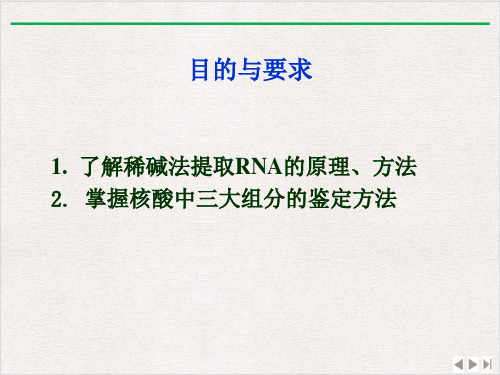 酵母核糖核酸的分离及组分鉴定改课件PPT