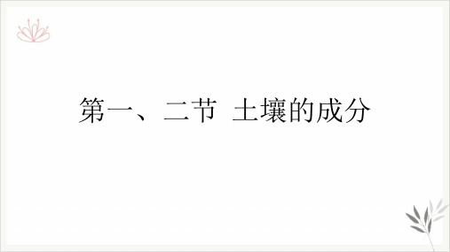 (八下)第一二、六节土壤的成分、各种各样的土壤(知识点)—2021届浙教版九年级中考一轮同步复习课件