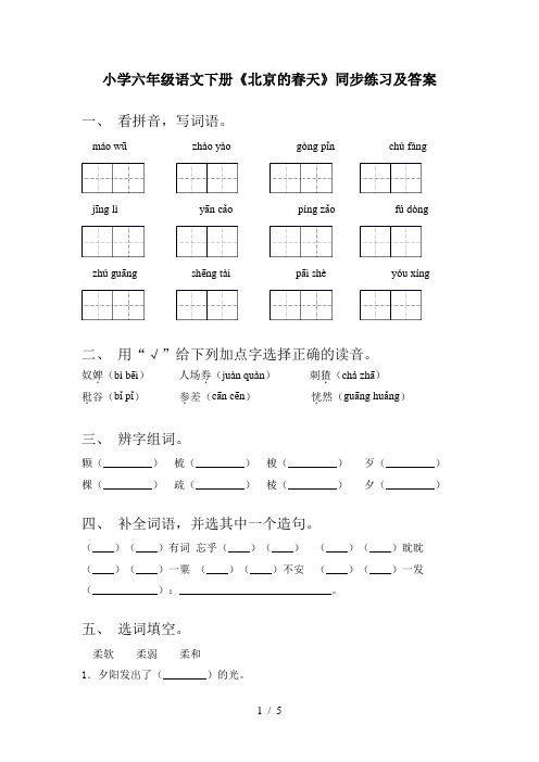 小学六年级语文下册《北京的春天》同步练习及答案