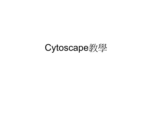 Cytoscape教学