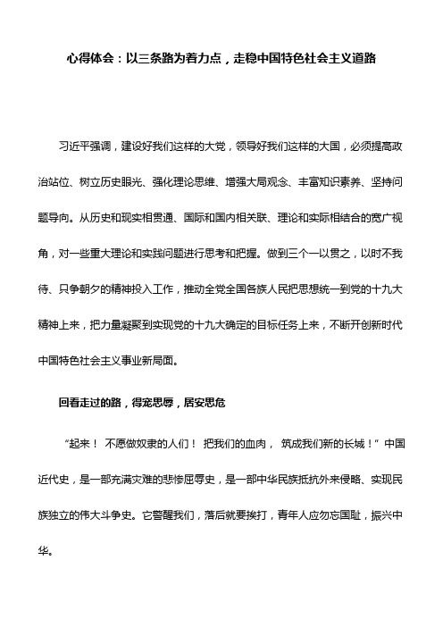 心得体会：以三条路为着力点,走稳中国特色社会主义道路