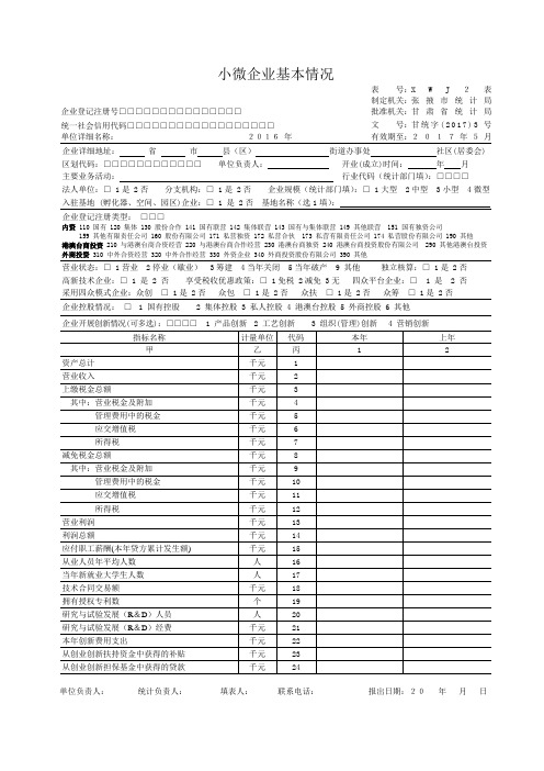 小微企业基本情况表