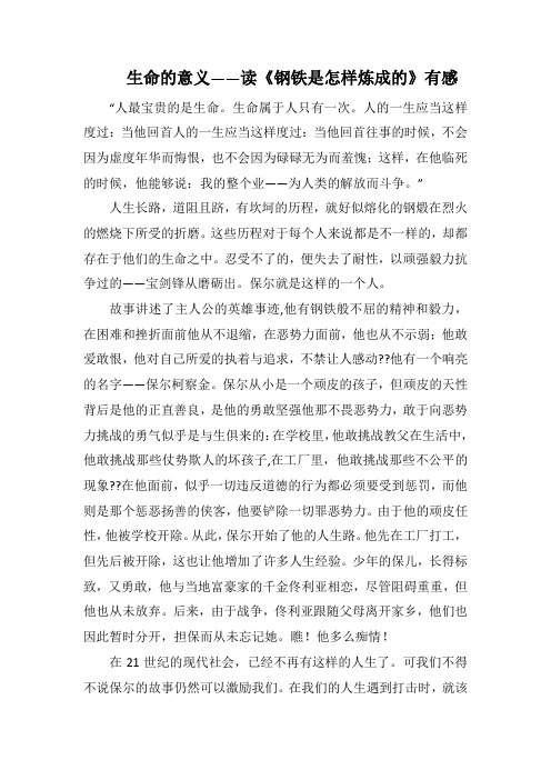 生命的意义——读《钢铁是怎样炼成的》有感(1000字).docx