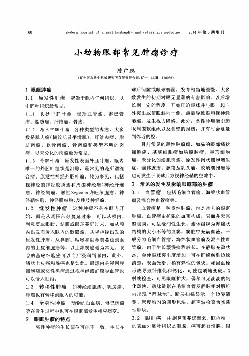 小动物眼部常见肿瘤诊疗