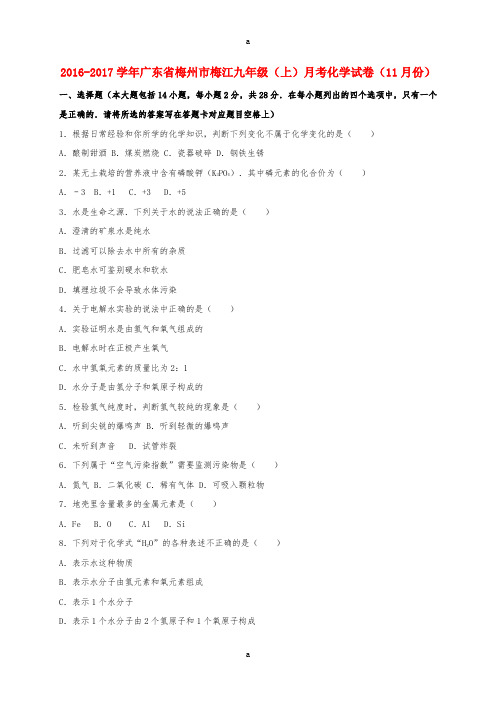 九年级化学上学期11月月考试卷(含解析) 新人教版 (2)