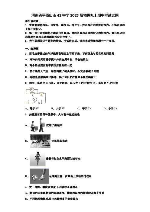 河南省平顶山市42中学2025届物理九上期中考试试题含解析