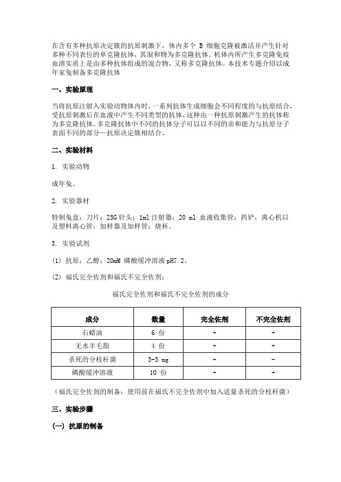 成年家兔制备多克隆抗体技术