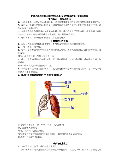 新教科版四年级上册科学第二单元《呼吸与消化》知识点整理